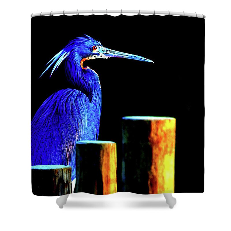Wildlife Shower Curtain featuring the digital art Pensive Blue Heron by SnapHappy Photos