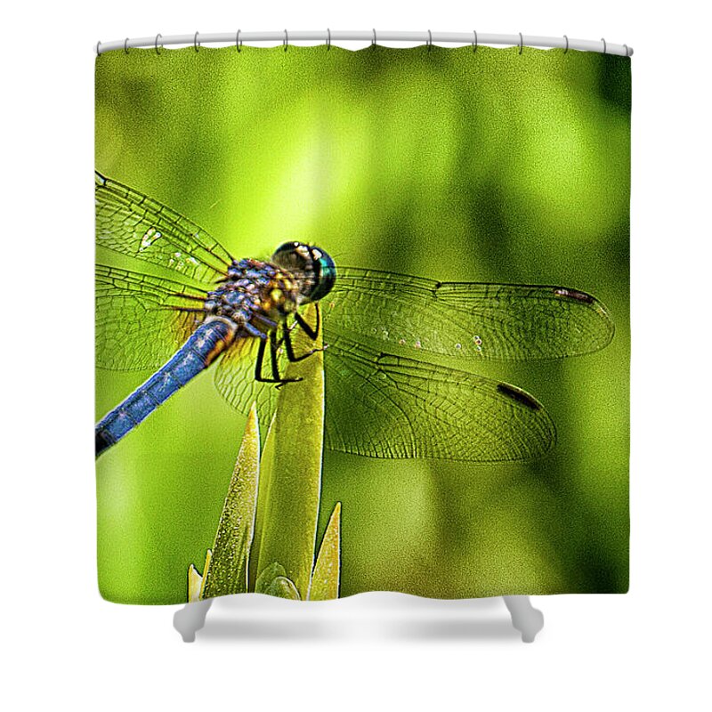 Dragonfly Shower Curtain featuring the photograph Pensive Dragon by Bill Barber