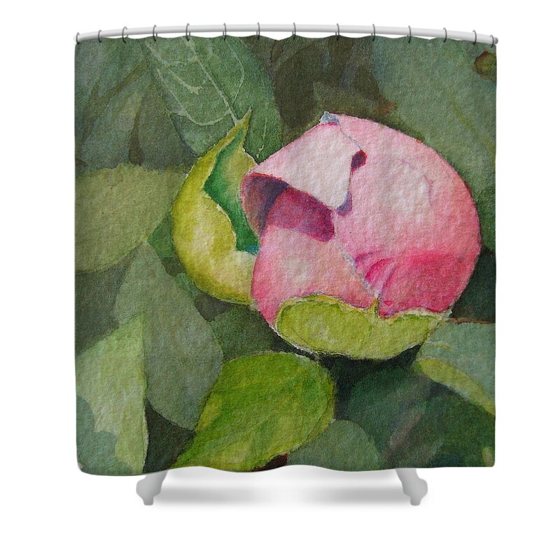 Watercolor Shower Curtain featuring the painting Peony Bud by Mary Ellen Mueller Legault