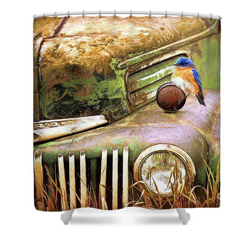  Ford Truck Shower Curtain featuring the painting Perched On The Old Ford by Tina LeCour