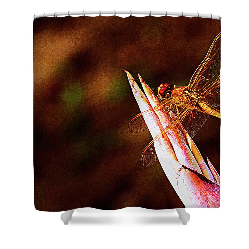 Dragonfly Shower Curtain featuring the photograph Perching Dragon by Bill Barber