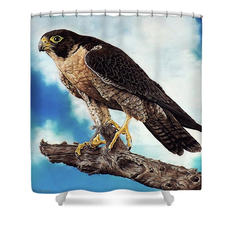 Falcon Shower Curtain featuring the painting Peregrine Falcon by Linda Becker