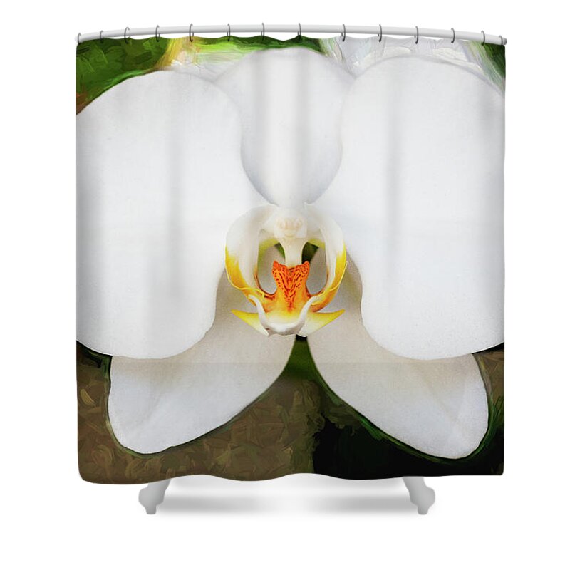 Orchids Shower Curtain featuring the photograph Perfect Phalaenopsis Orchid 123 by Rich Franco