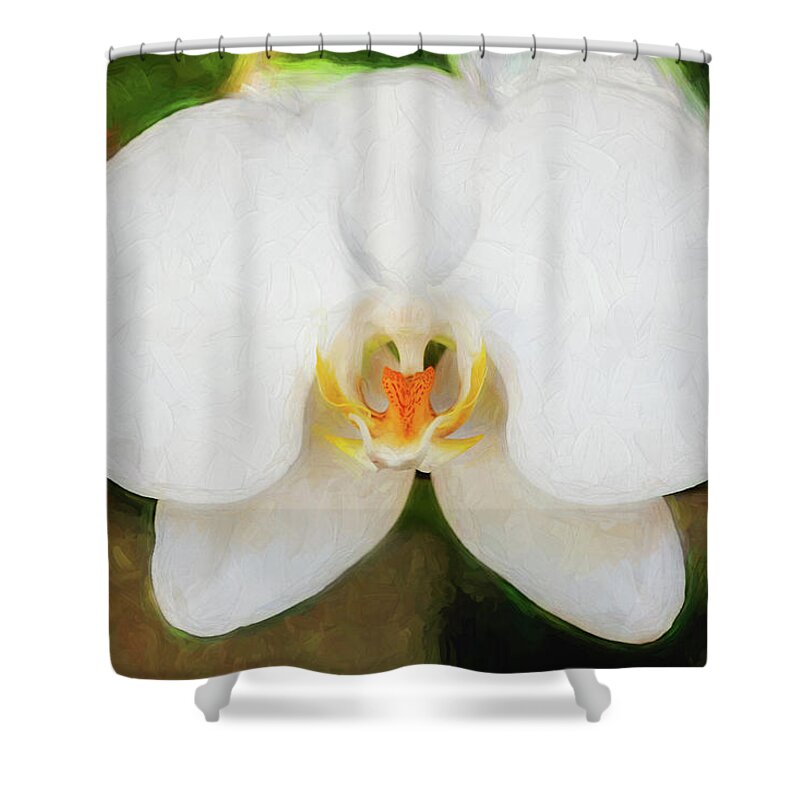 Orchids Shower Curtain featuring the photograph Perfect Phalaenopsis Orchid 125 by Rich Franco