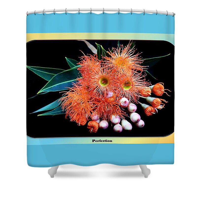 Flowers Shower Curtain featuring the mixed media Perfection by Nancy Ayanna Wyatt