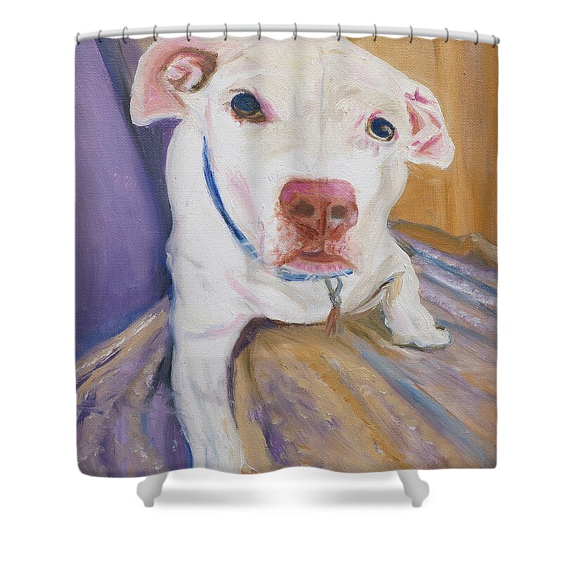 Wonderful Friend And Companion Shower Curtain featuring the painting Pet Portrail for Lexi by Kathy Knopp