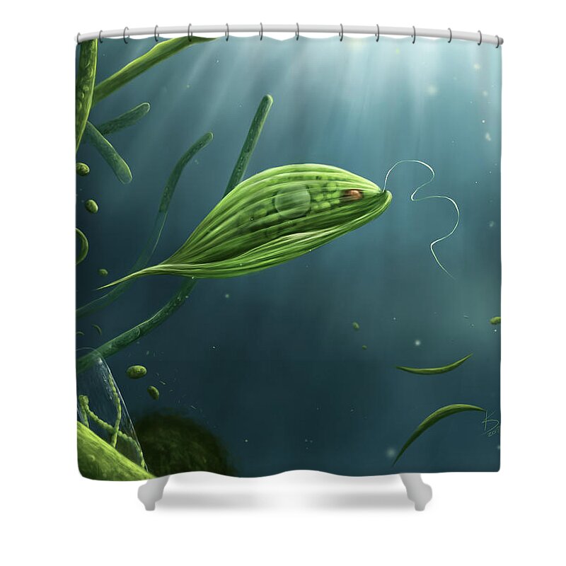 Protozoa Shower Curtain featuring the digital art Phacus by Kate Solbakk
