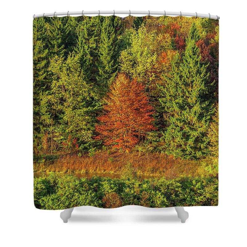 Autumn Shower Curtain featuring the photograph Philip's Autumn Trees by Don Nieman
