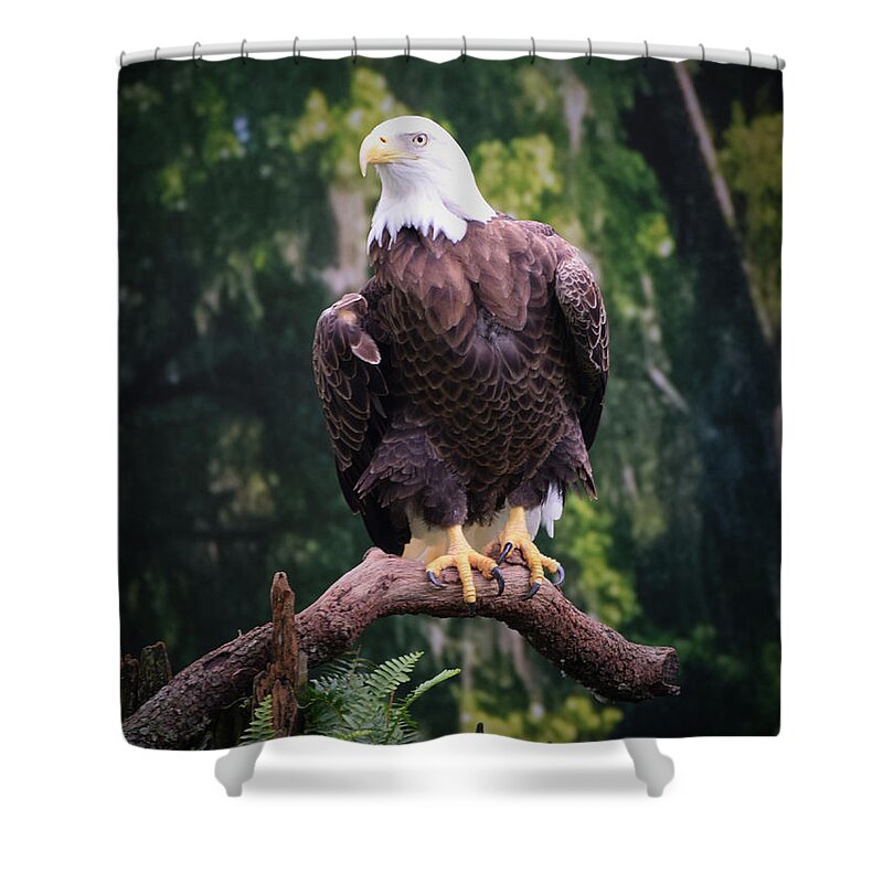 Eagle Shower Curtain featuring the photograph Photo 75 American Eagle by Lucie Dumas