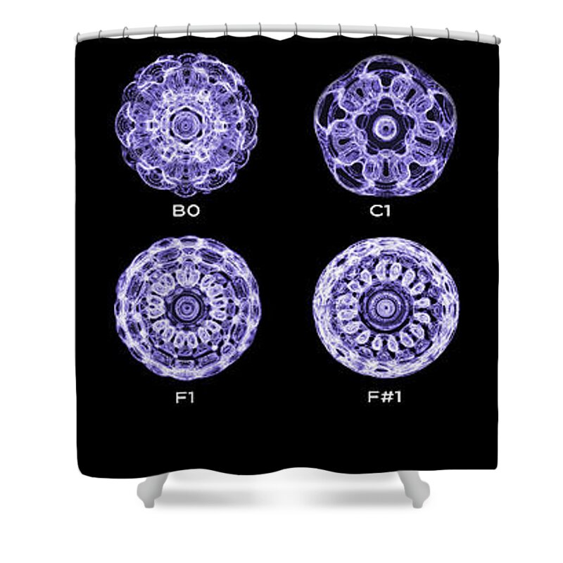 Cymatic Cymatics Sound Image Cymascope Cyma Mmv Vibrational Frequency Piano Notes Shower Curtain featuring the photograph Piano Notes-1st Octave by CymaScope