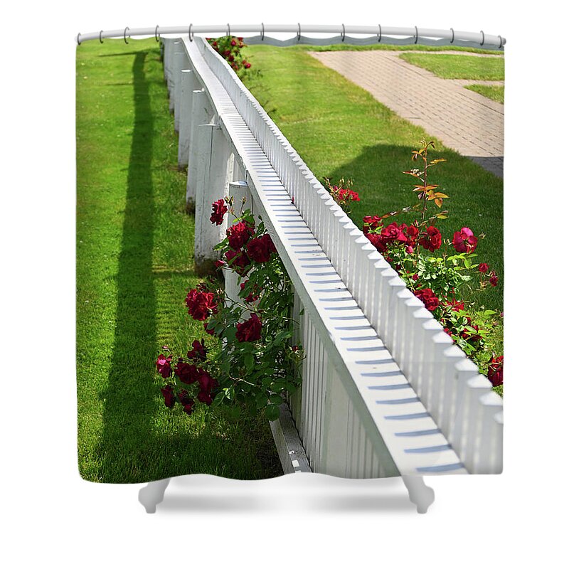  Shower Curtain featuring the photograph Picket Fence Roses by Rein Nomm