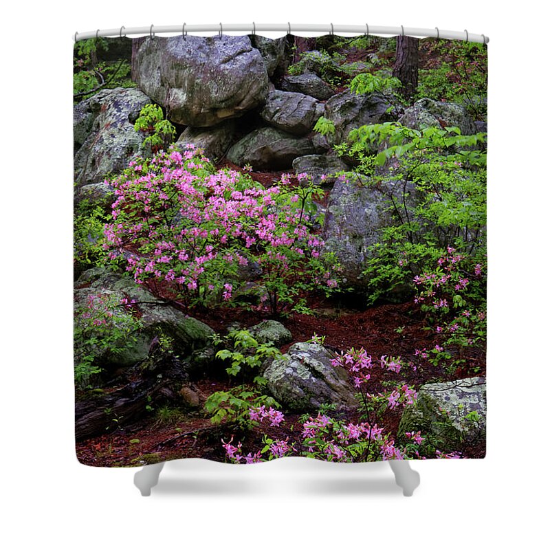 Azaleas Shower Curtain featuring the photograph Pickle Springs Natural Area by Robert Charity