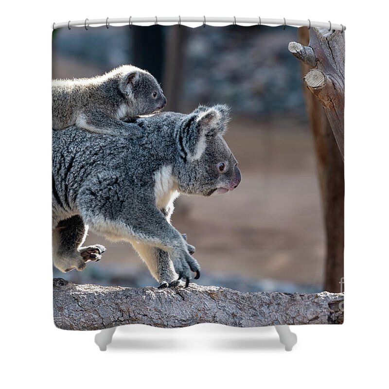 San Diego Zoo Shower Curtain featuring the photograph Piggy Back Rides by David Levin