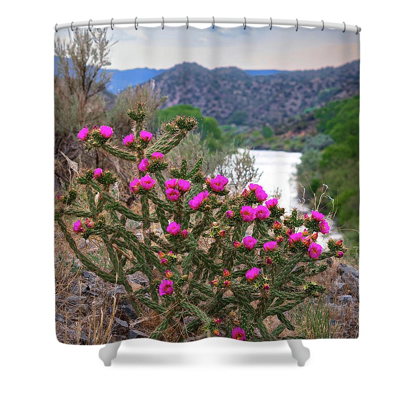 Taos Shower Curtain featuring the photograph Pilar Cactus 1 by Elijah Rael