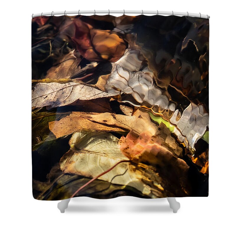 Fall Shower Curtain featuring the photograph Pile of Leaves in Water by Linda Bonaccorsi