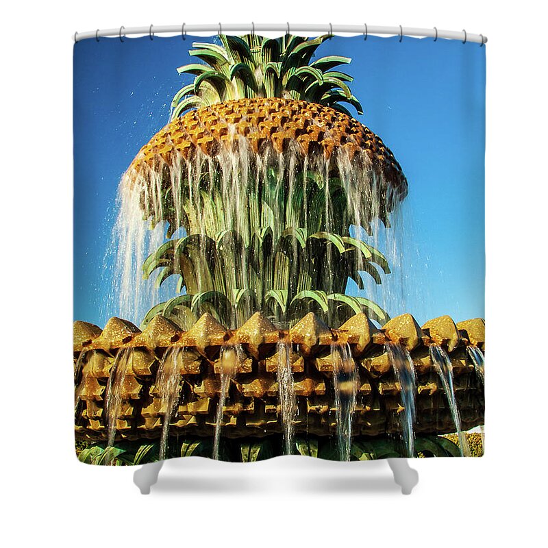 Charleston Shower Curtain featuring the photograph Pineapple Fountain Charleston by Louis Dallara