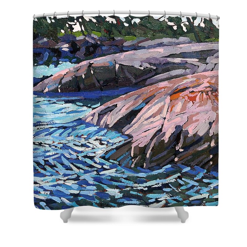2391 Shower Curtain featuring the painting Pines Rock Water 2020 by Phil Chadwick