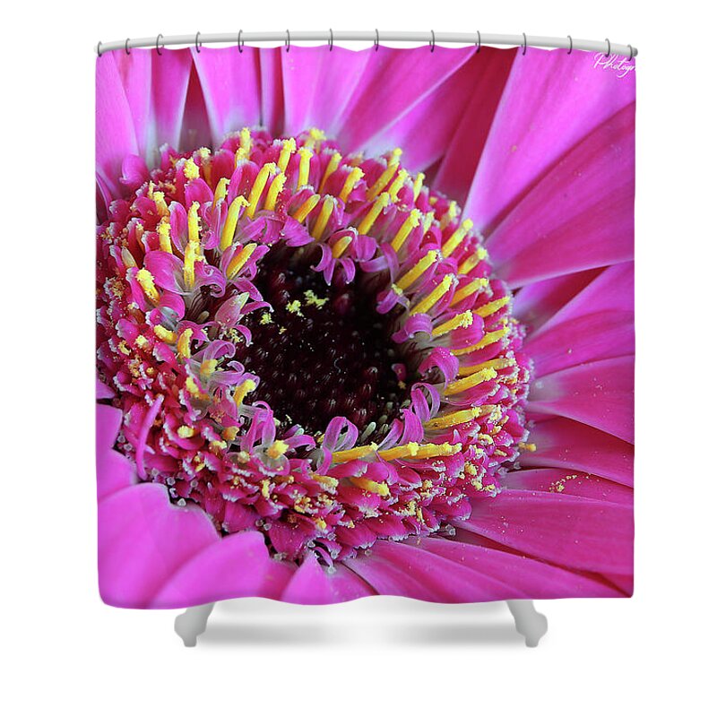 Flowers Shower Curtain featuring the digital art Pink 59 by Kevin Chippindall