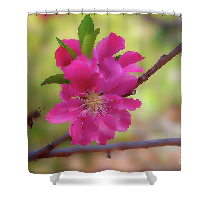 Cherry Shower Curtain featuring the photograph Pink Cherry Blossoms and Bees digital art by Diana Mary Sharpton