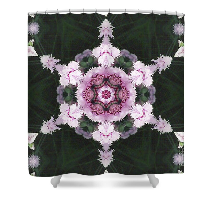 Pink Dianthus Shower Curtain featuring the digital art Pink Dianthus Kaleidoscope-2 by Charles Robinson