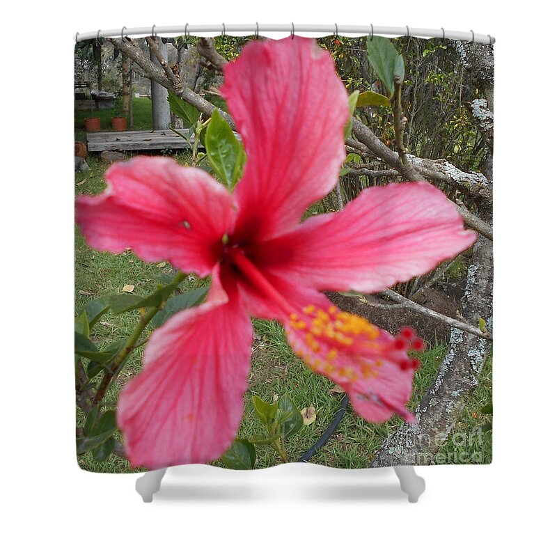 Pink Shower Curtain featuring the photograph Pink Hibiscus by Nancy Graham