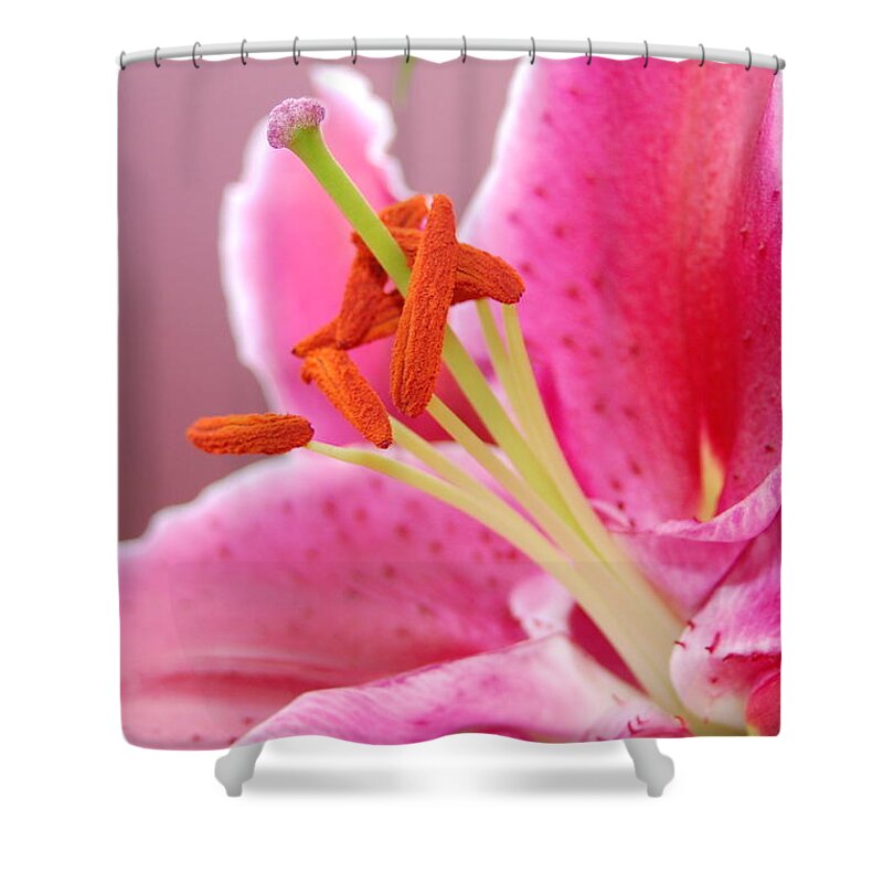 Lily Shower Curtain featuring the photograph Pink Lily 5 by Amy Fose