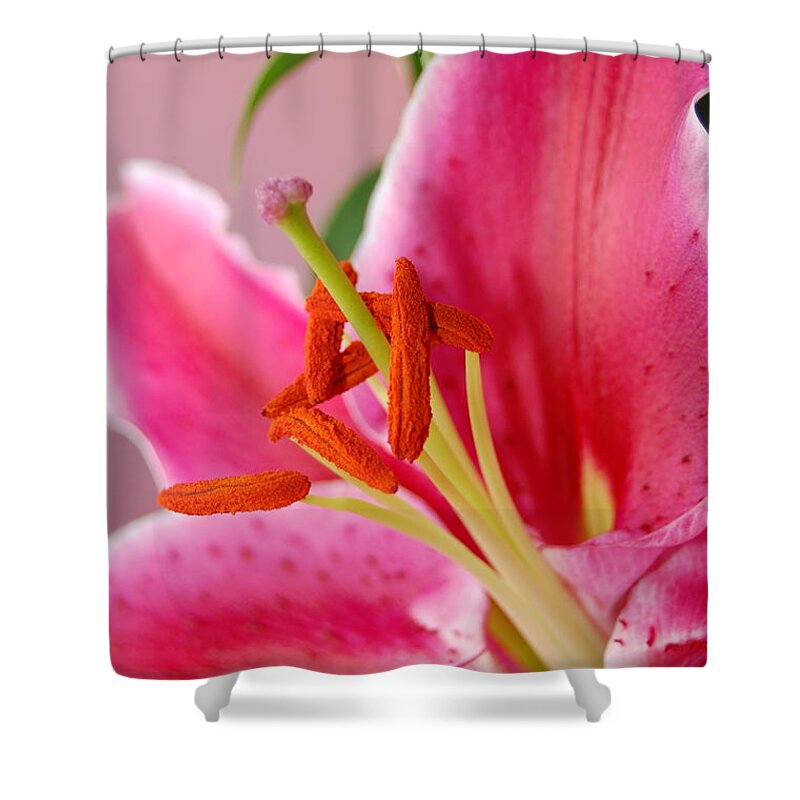 Lily Shower Curtain featuring the photograph Pink Lily 6 by Amy Fose