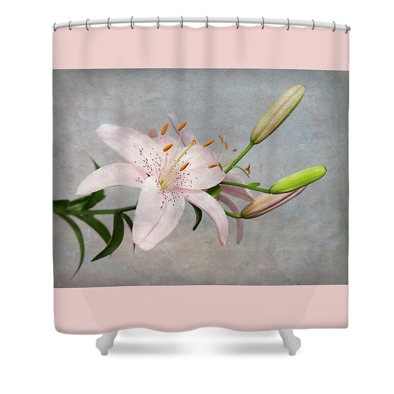 Easter Shower Curtain featuring the photograph Pink Lily with Texture by Patti Deters
