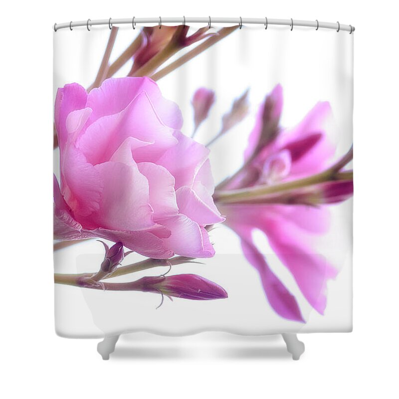 Flowers Shower Curtain featuring the photograph Pink Oleander 2021 by Wolfgang Stocker