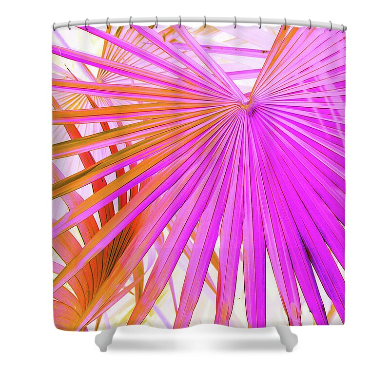 Trees Shower Curtain featuring the photograph Pink Orange Palmettos by Missy Joy
