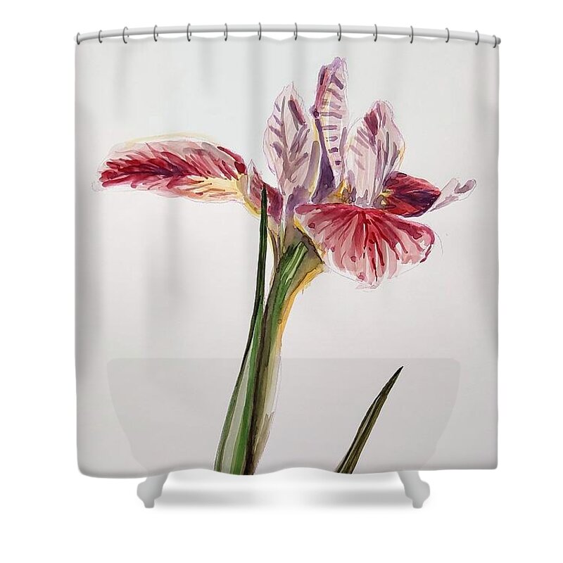 Flower Shower Curtain featuring the painting Pink Orchid by George Cret