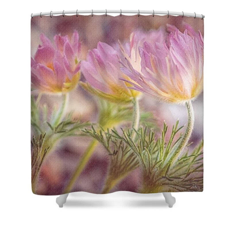 Spring Shower Curtain featuring the photograph Pink Pasque Flowers by Susan Rydberg