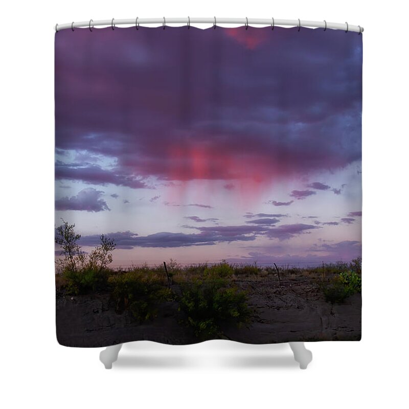 Rain Shower Curtain featuring the photograph Pink Rain by Debby Richards