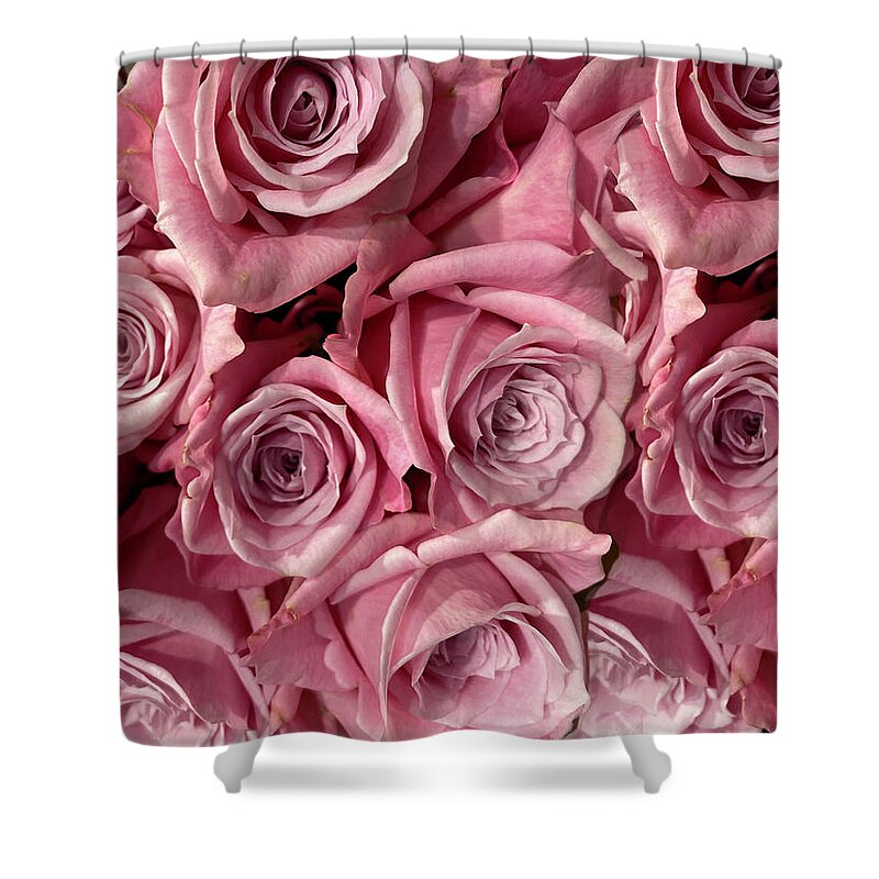 Pink Roses Shower Curtain featuring the photograph Pink Roses by Karen Zuk Rosenblatt
