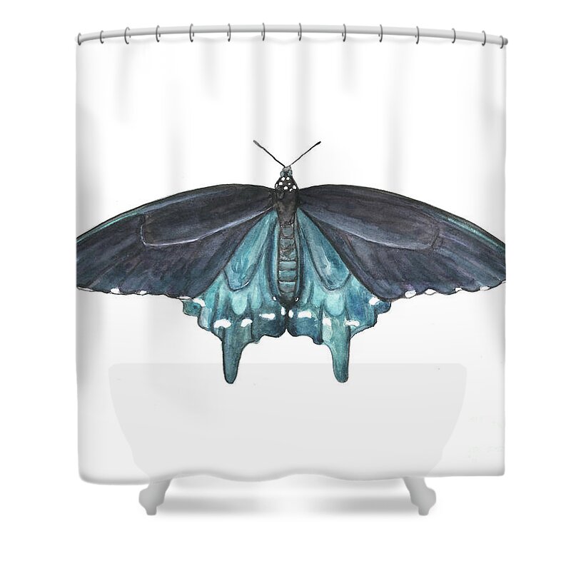 Butterfly Butterflies Florida American Pipevine Swallowtail Blue Navy Transformation Watercolor Shower Curtain featuring the painting Pipevine Swallowtail Butterfly by Pamela Schwartz