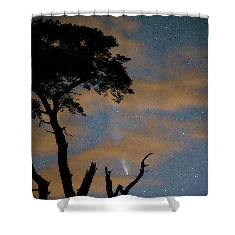 Tree Shower Curtain featuring the photograph Poetry In Motion by Rob Hemphill