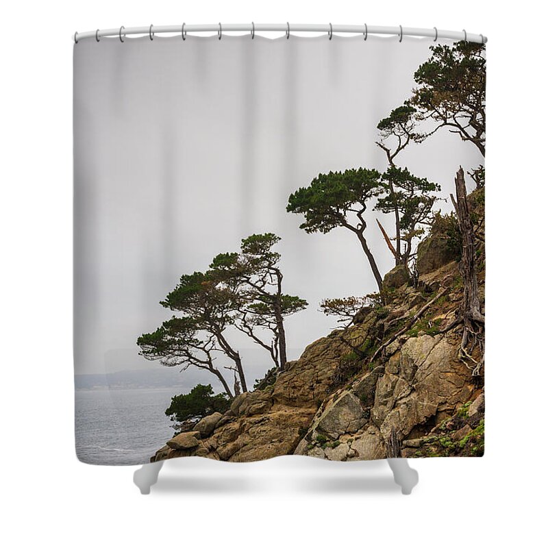  Point Lobos Shower Curtain featuring the photograph Point Lobos III Color by David Gordon
