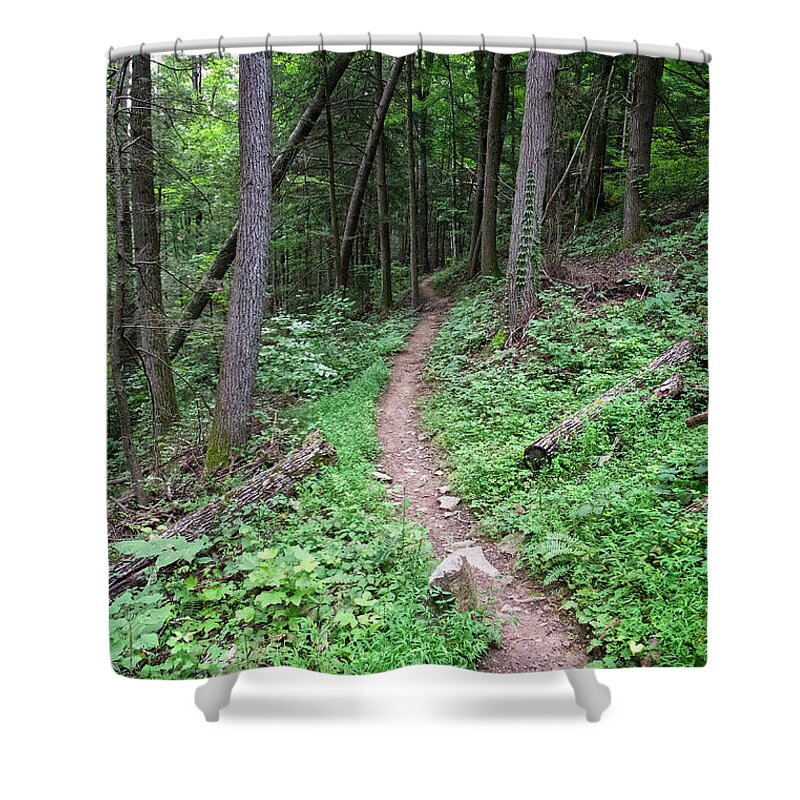 Obed Shower Curtain featuring the photograph Point Trail At Obed 13 by Phil Perkins