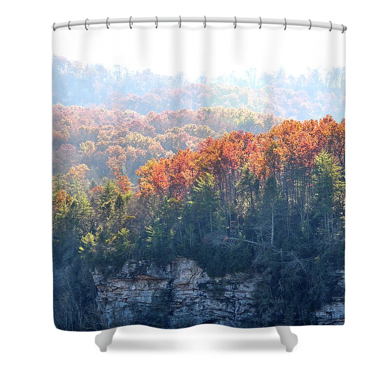 Nature Shower Curtain featuring the photograph Point Trail At Obed 5 by Phil Perkins