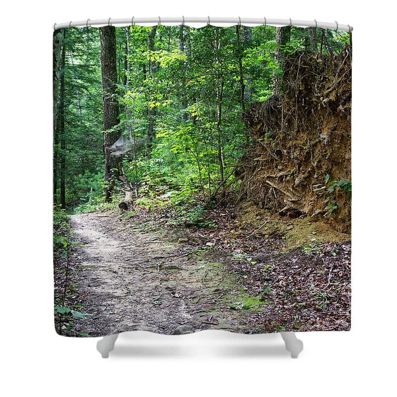 Obed Shower Curtain featuring the photograph Point Trail At Obed 8 by Phil Perkins