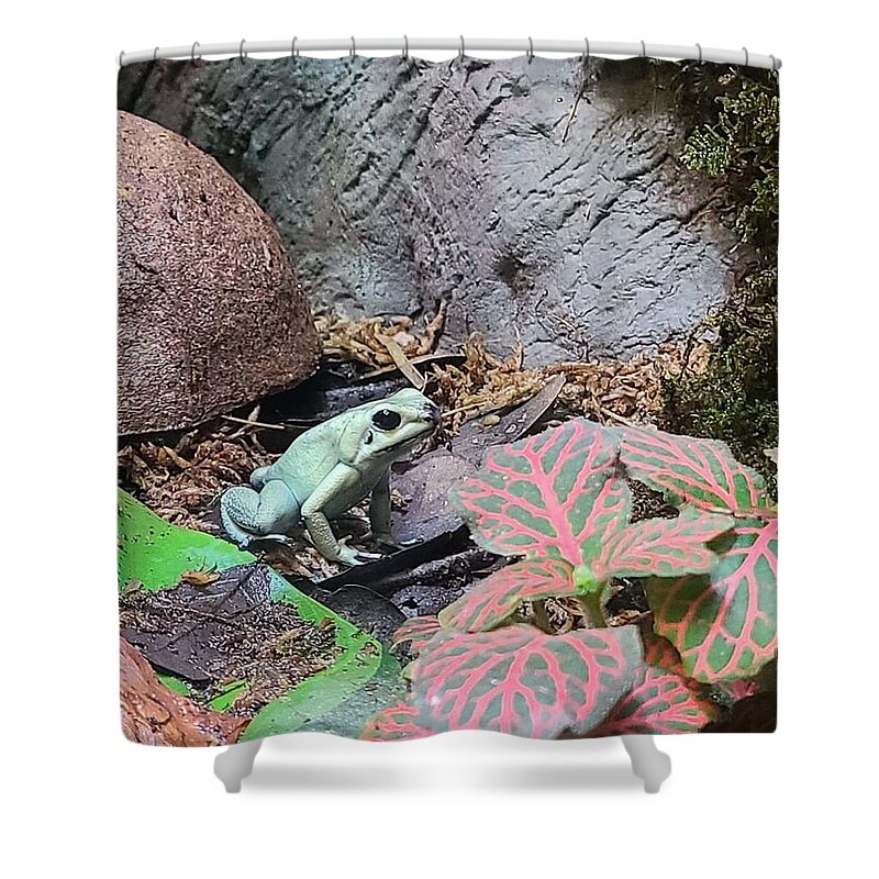 Poison Shower Curtain featuring the photograph Poison Dart Frog 2 by Elena Pratt