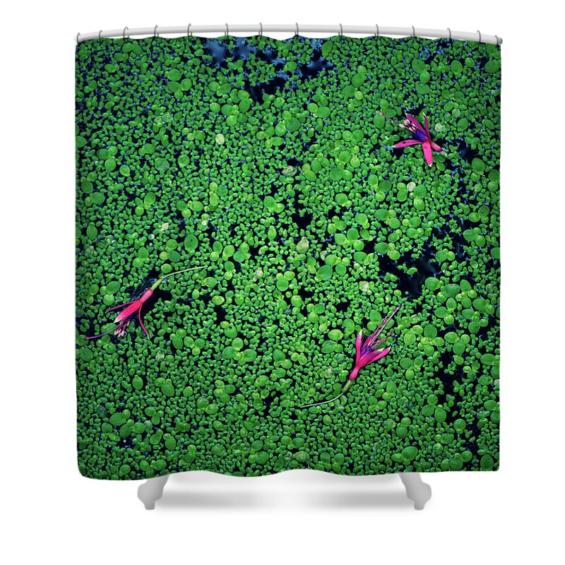 Abstract Flowers Shower Curtain featuring the photograph Pond flowers by Naomi Maya