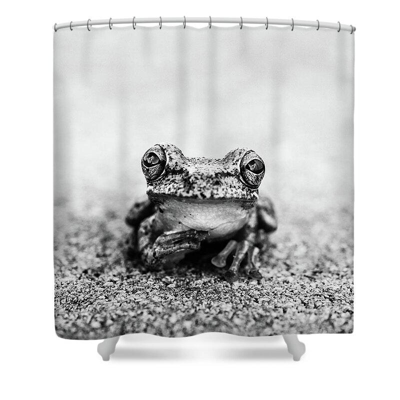 Pondering Frog Bw Shower Curtain by Laura Fasulo - Fine Art America