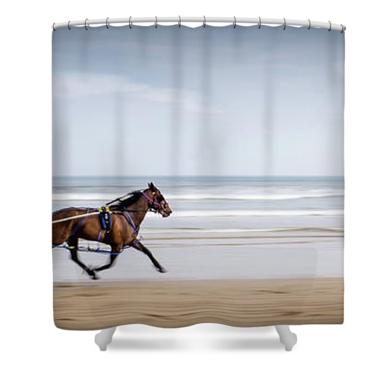 Pony Shower Curtain featuring the photograph Pony and Trap by Nigel R Bell