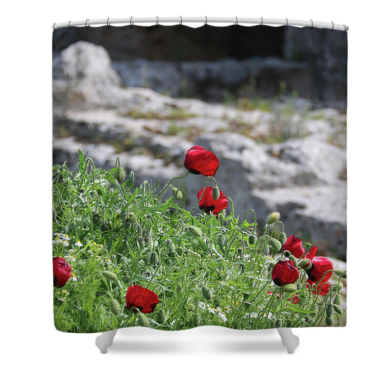 Poppies Shower Curtain featuring the photograph Poppies and Ruins by M Kathleen Warren