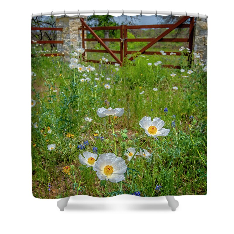Texas Hill Country Shower Curtain featuring the photograph Poppies at the Gate by Lynn Bauer
