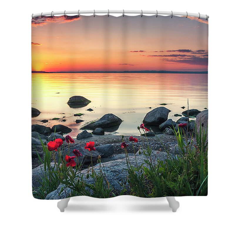 Sea Shower Curtain featuring the photograph Poppies By the Sea by Evgeni Dinev
