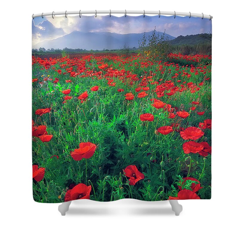 Poppies Field Shower Curtain featuring the photograph Poppies by Giovanni Allievi