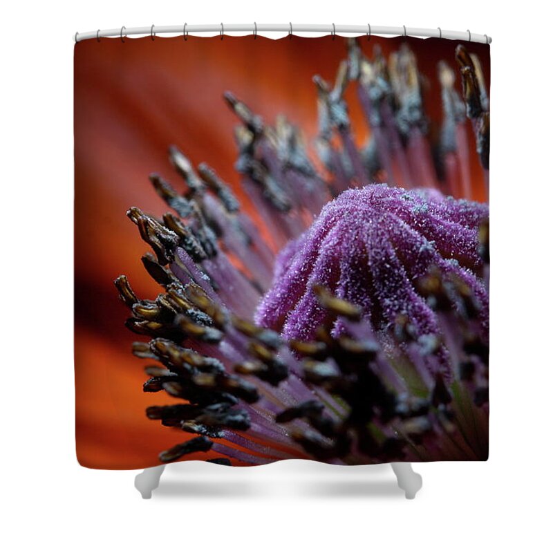 Floral Shower Curtain featuring the photograph Poppy 1703 by Julie Powell