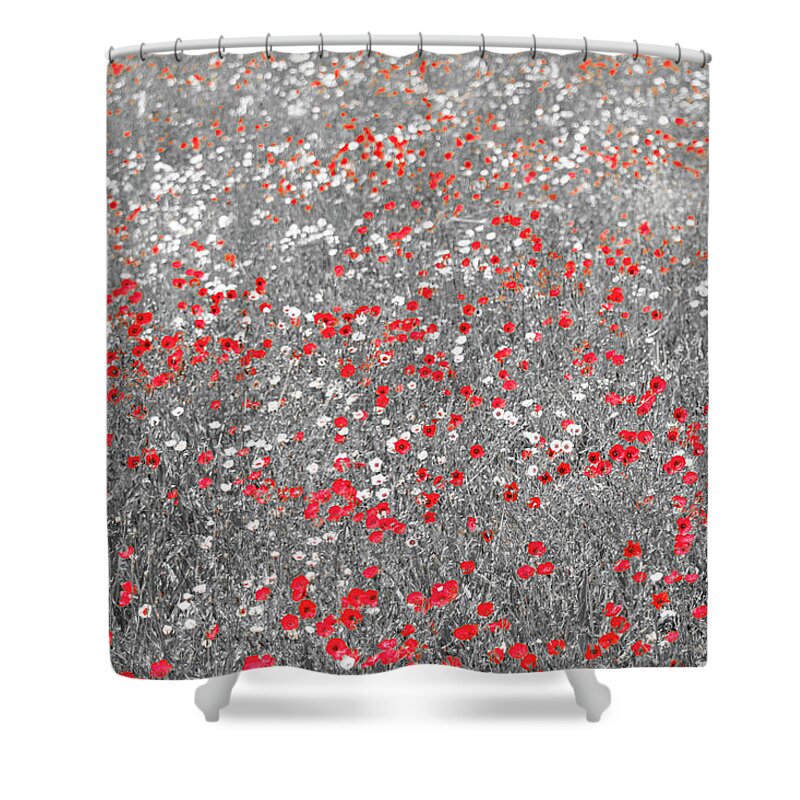 Poppies Shower Curtain featuring the photograph Poppy Field by Stuart Allen